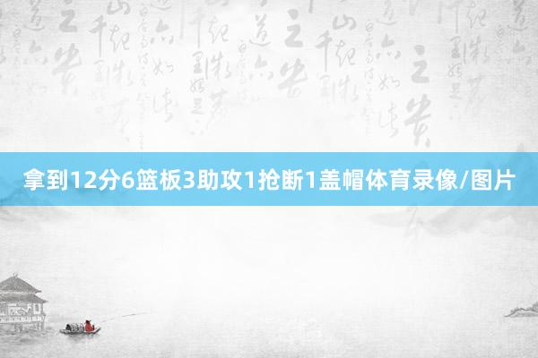 拿到12分6篮板3助攻1抢断1盖帽体育录像/图片