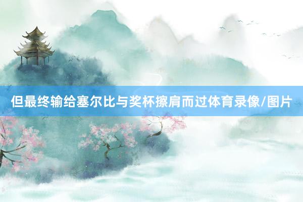 但最终输给塞尔比与奖杯擦肩而过体育录像/图片