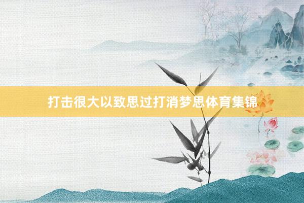打击很大以致思过打消梦思体育集锦