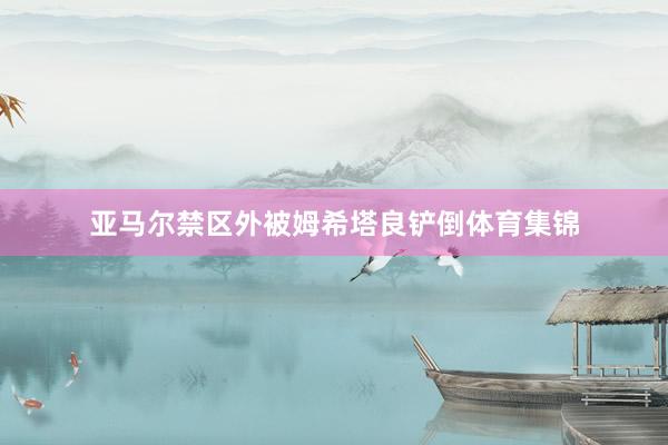 亚马尔禁区外被姆希塔良铲倒体育集锦