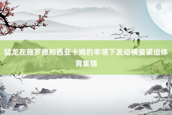 猛龙在施罗德和西亚卡姆的率领下发动横蛮紧迫体育集锦