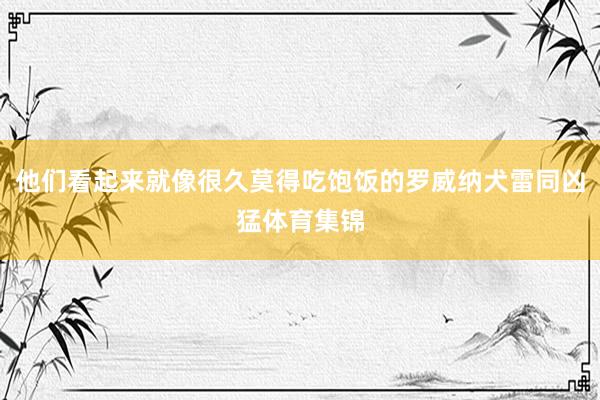 他们看起来就像很久莫得吃饱饭的罗威纳犬雷同凶猛体育集锦