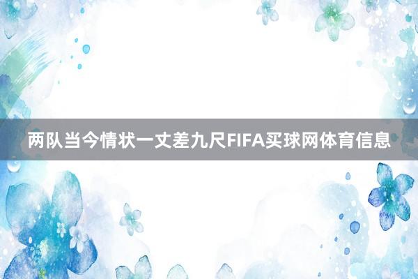 两队当今情状一丈差九尺FIFA买球网体育信息