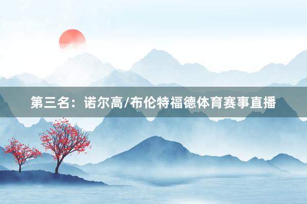 第三名：诺尔高/布伦特福德体育赛事直播