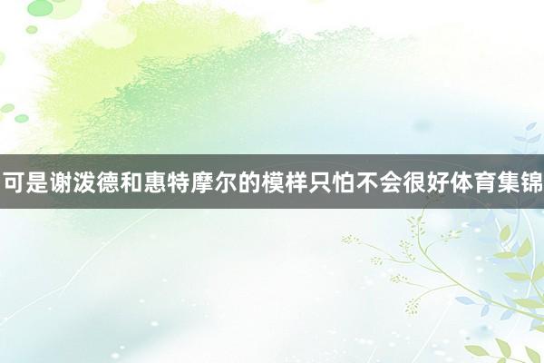 可是谢泼德和惠特摩尔的模样只怕不会很好体育集锦