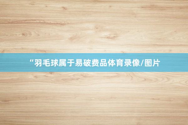 “羽毛球属于易破费品体育录像/图片